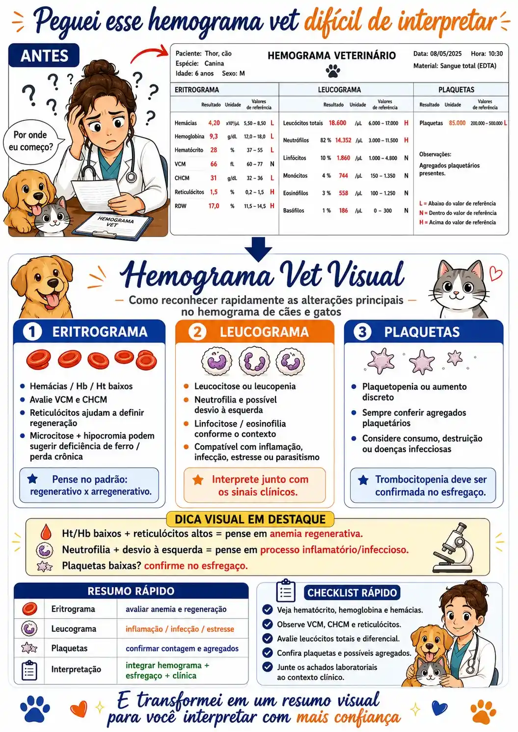 De hemograma confuso para resumo visual — Hemograma Vet Visual
